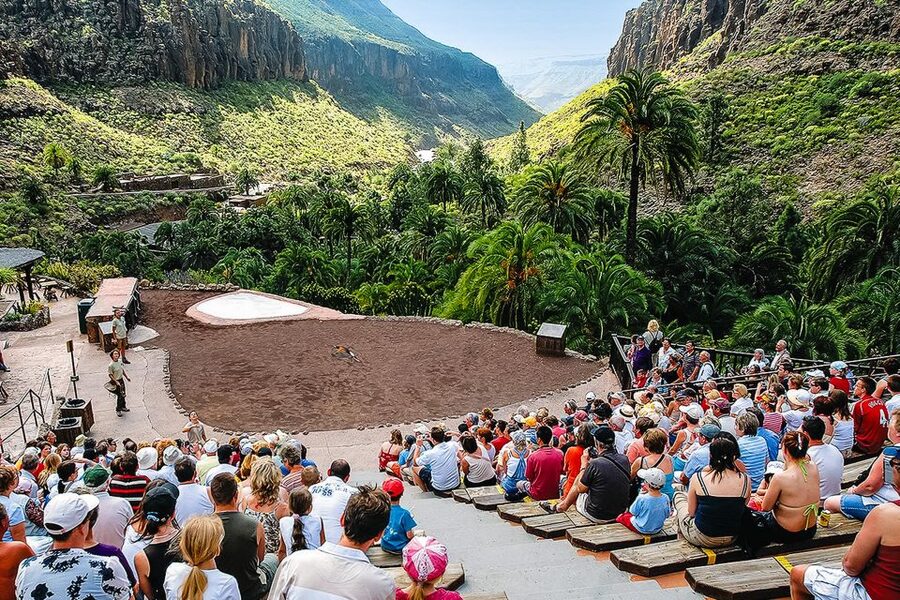 Maspalomas: Palmitos Park Ticket with Dolphin and Bird Shows - The Island of Primates and family appeal
