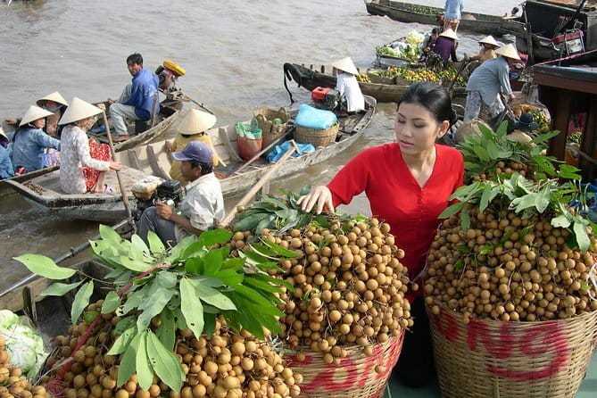 Mekong 2-Day Tour Floating Market-Bird Sanctuary-Flower Village - Tra Su Cajuput Forest and the bird sanctuary