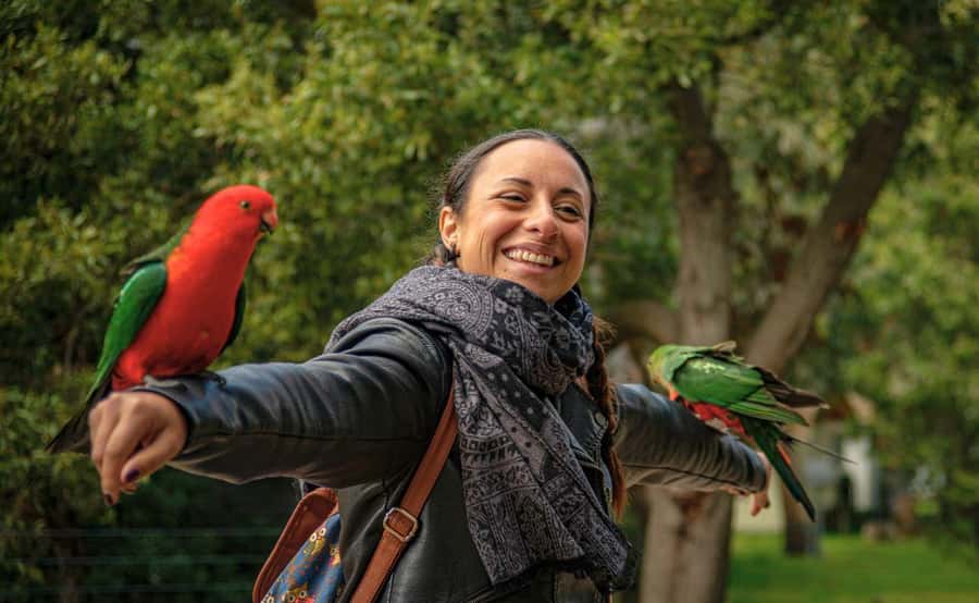 Melbourne: Great Ocean Road, Penguin Parade & Free City Tour - Is $236 per person good value?
