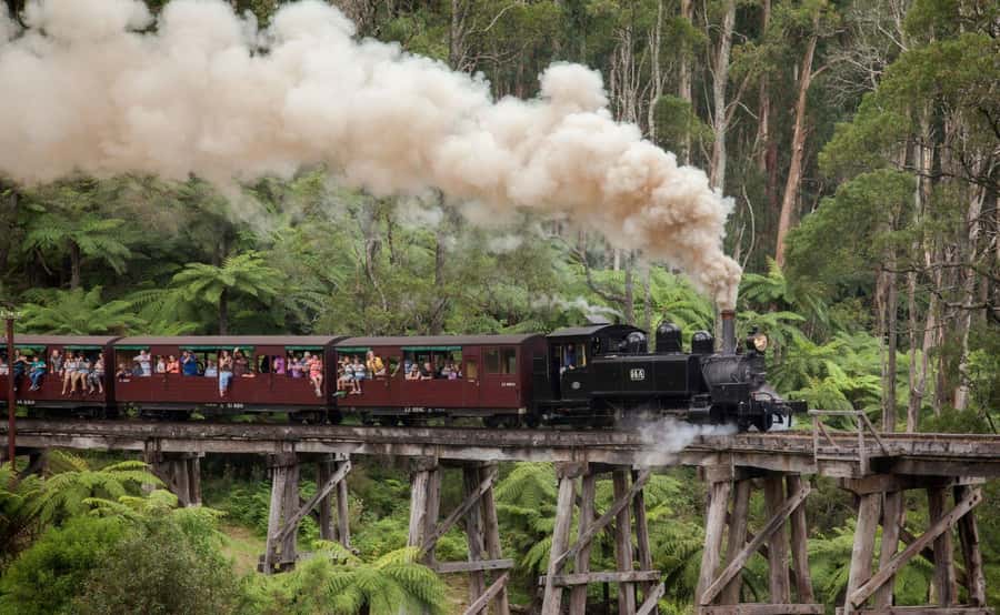 Melbourne: Half-Day Puffing Billy Steam Train Experience - How to prepare for a smoother ride