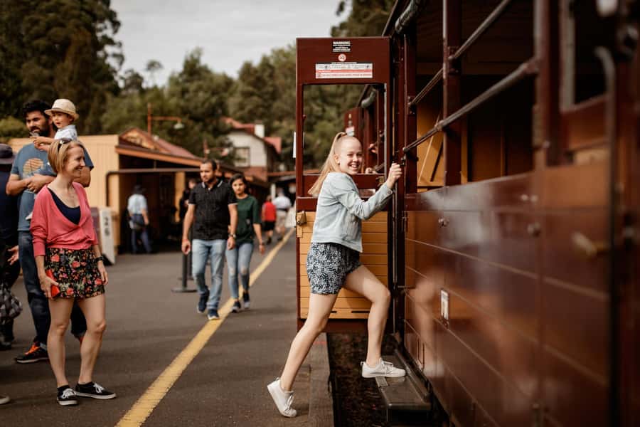 Melbourne: Half-Day Puffing Billy Steam Train Experience - Who should take this tour