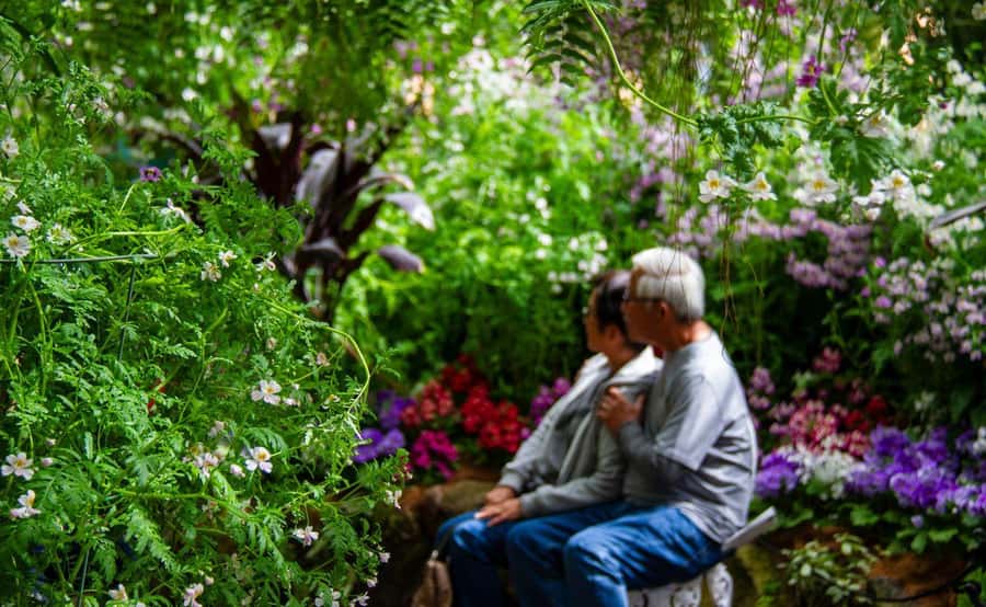 Melbourne Magic: City Highlights and Penguin Parade Tour - The 75-minute lunch break
