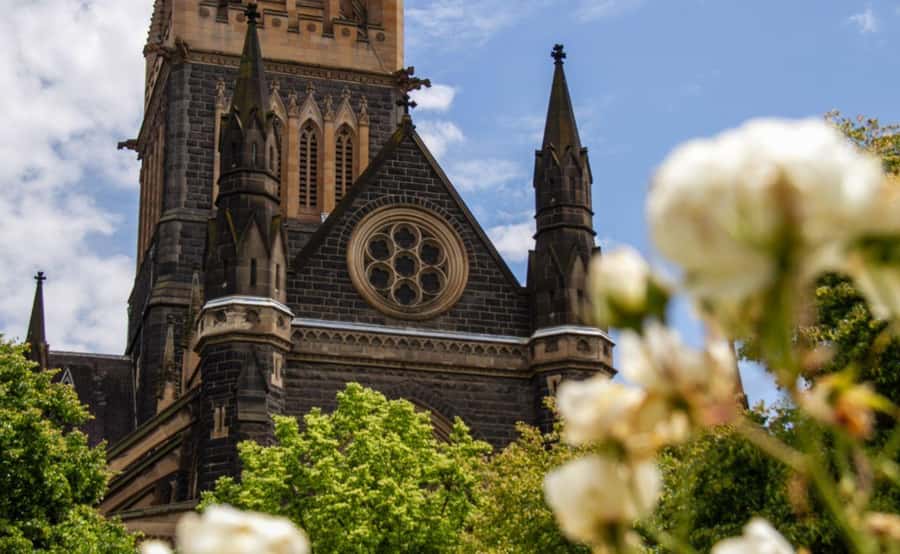Melbourne Magic: City Highlights and Penguin Parade Tour - Waiting for the little penguins at sunset