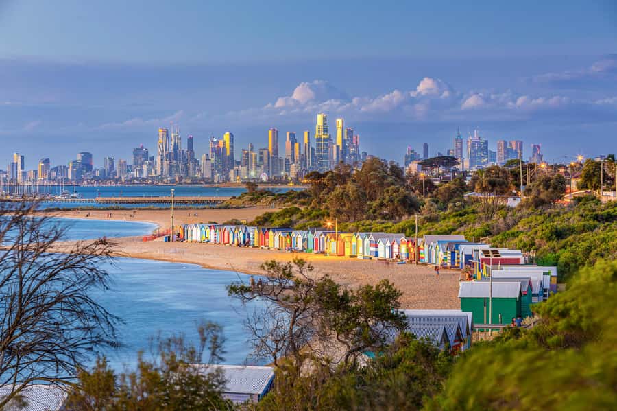 Melbourne: Penguin Parade , Koala & Brighton Bathing Boxes - Brighton’s 82 bathing boxes in 30 minutes