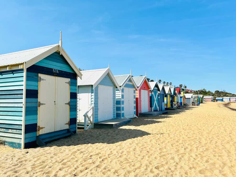 Melbourne: Penguin Parade & Phillip Island Scenic Day Tour - Schedule changes and the Puffing Billy possibility