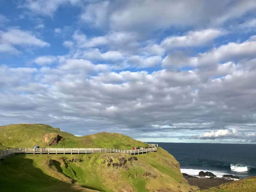 Melbourne: Penguin Parade & Phillip Island Scenic Day Tour - Who should choose this Phillip Island day trip?