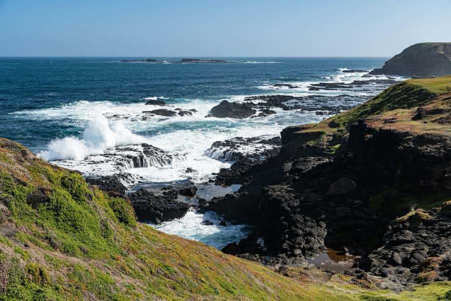 Melbourne: Penguin Parade & Phillip Island Scenic Day Tour - Brighton Beach and the rainbow huts