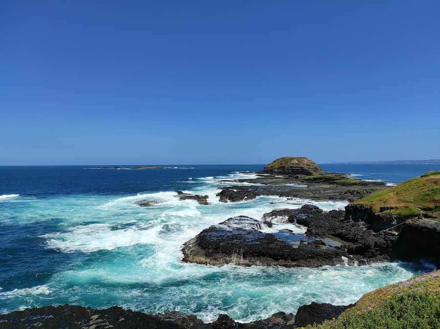 Melbourne: Phillip Island Penguin Parade Watching Day Tour - What the $88 price really covers