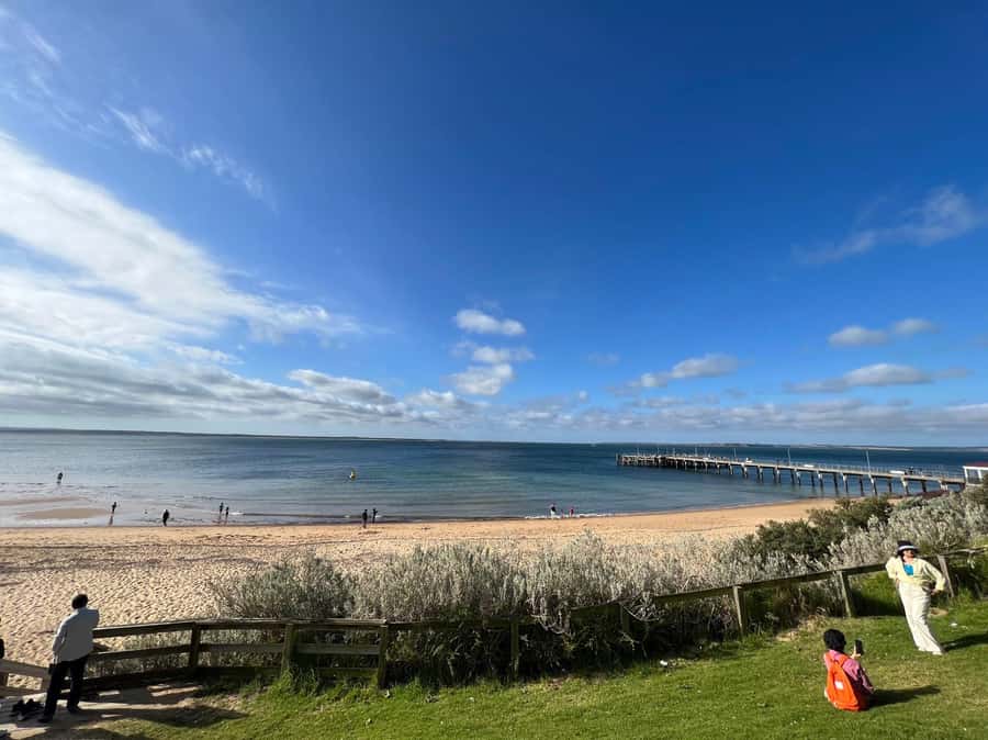 Melbourne: Phillip Island Private Trip, Penguin and Wildlife - The Nobbies boardwalk and Seal Rocks views
