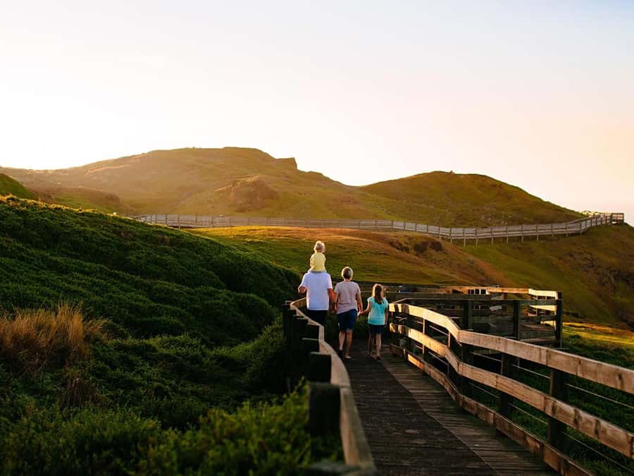 Melbourne: Phillip Island Private Trip, Penguin and Wildlife - Meeting koalas along the tree-top paths
