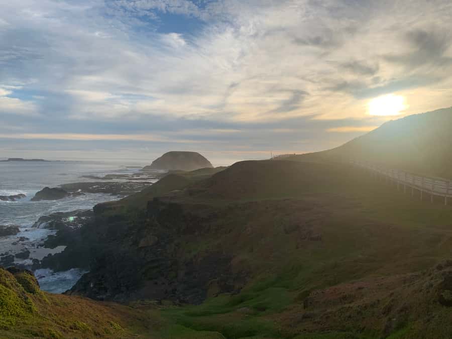 Melbourne: Phillip Island Tour & Penguin Parade - Key points to know before booking