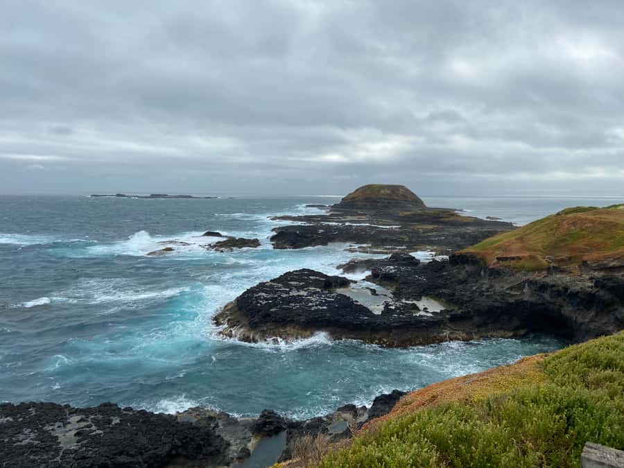 Melbourne: Phillip Island Tour & Penguin Parade - The Penguin Parade is natural, not guaranteed theater
