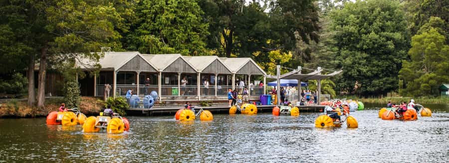 Melbourne: Puffing Billy & Healesville Sanctuary Scenic Tour - Who should book this day trip?
