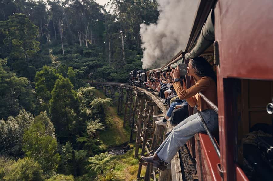 Melbourne: Puffing Billy Penguin Parade Brighton Boxes Tour - Who should book this day trip?
