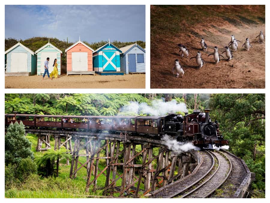 Melbourne: Puffing Billy Penguin Parade Brighton Boxes Tour - Three Australian sights in one demanding day