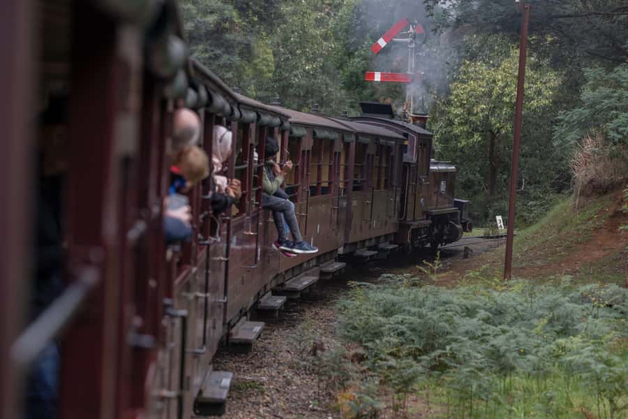 Melbourne: Puffing Billy Railway & Penguin Parade Day Tour - Watching the little penguins at Summerland Beach