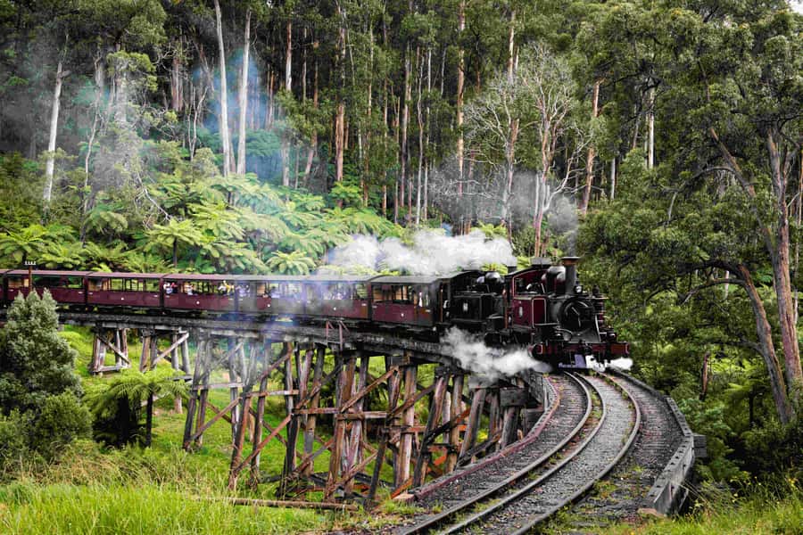 Melbourne: Puffing Billy Railway & Penguin Parade Day Tour - Starting in Melbourne and settling into the coach