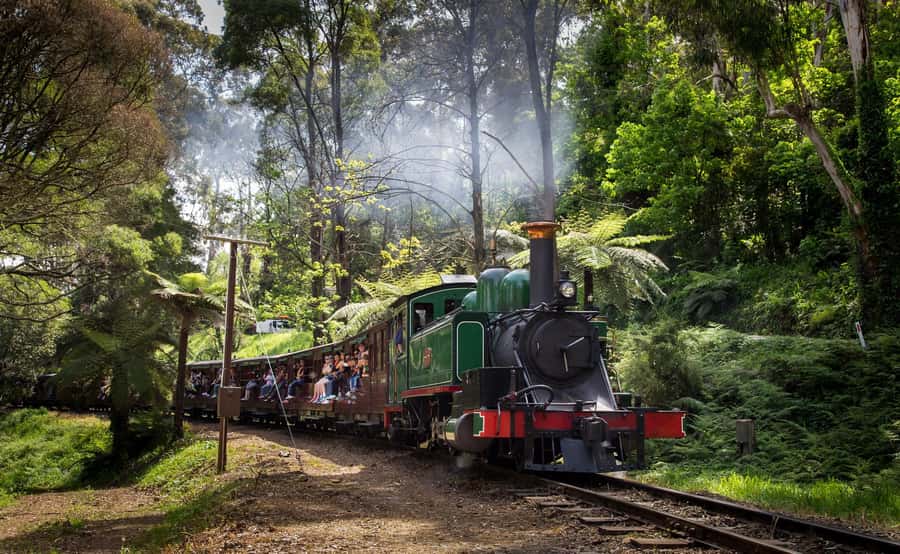 Melbourne: Puffing Billy Railway & Rainforest Tour - Practical tips for a smoother ride