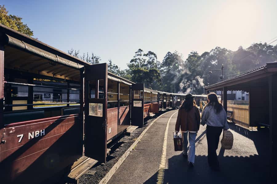 Melbourne: Puffing Billy Railway & Rainforest Tour - Starting in Melbourne: three pickup points