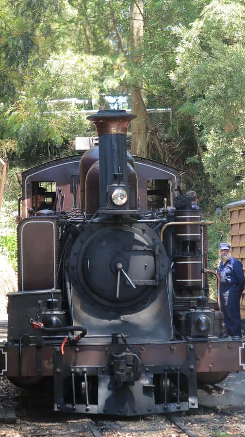 Melbourne: Puffing Billy Train and Penguin Island Day Tour - A two-part day with a memorable finish