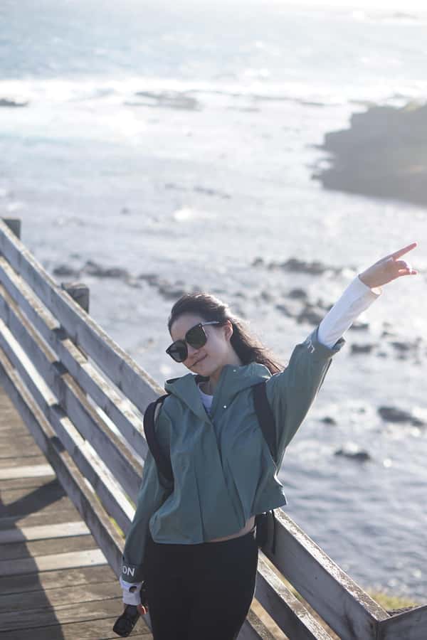 Melbourne: Puffing Billy Train and Penguin Island Day Tour - Maru Koala and Animal Park, an optional stop