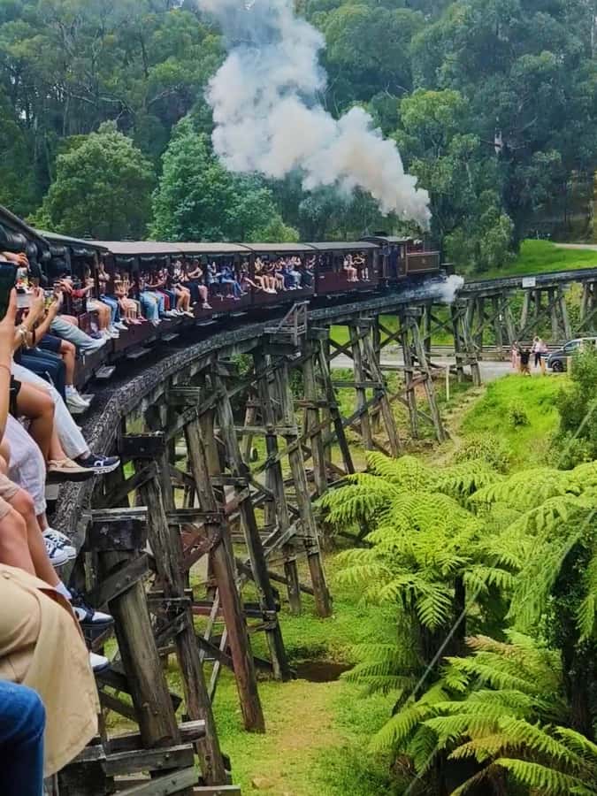 Melbourne: Puffing Billy Train and Penguin Island Day Tour - Riding Puffing Billy through the Dandenong Ranges
