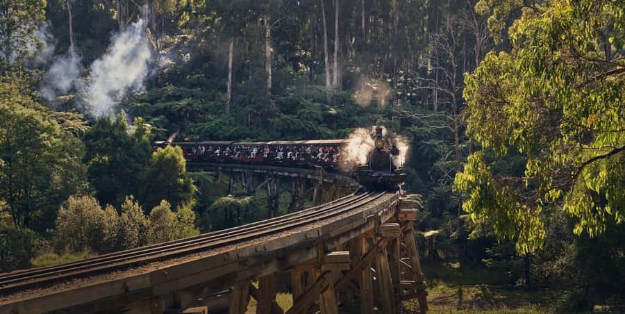Melbourne: Puffing Billy Train & Healesville & Winery Tour - Key points at a glance