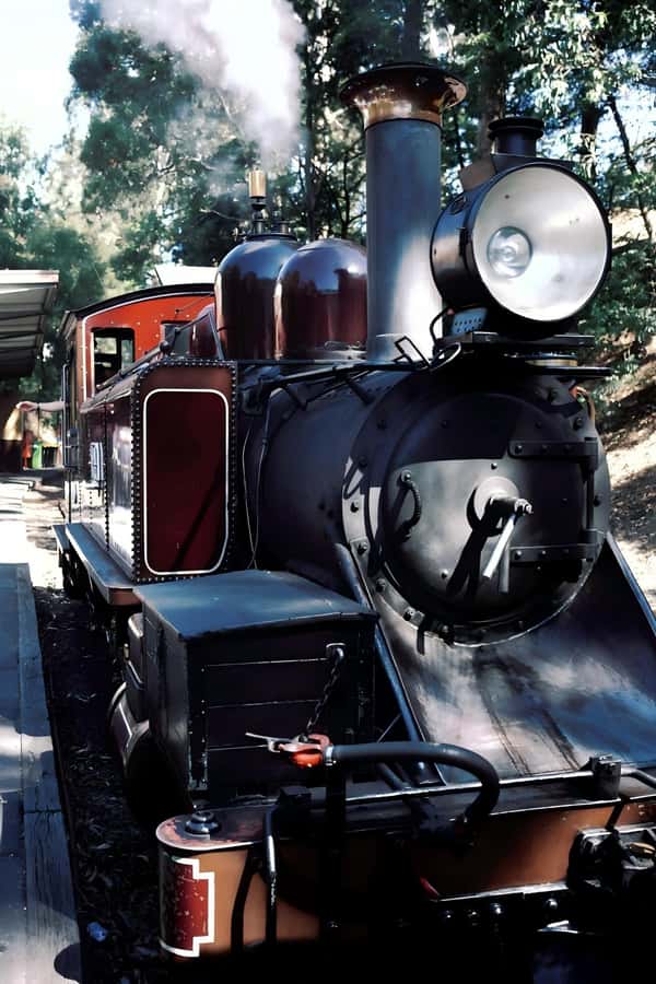 Melbourne: Puffing Billy Train & Healesville & Winery Tour - Healesville Sanctuary’s koalas, kangaroos, and platypus tank