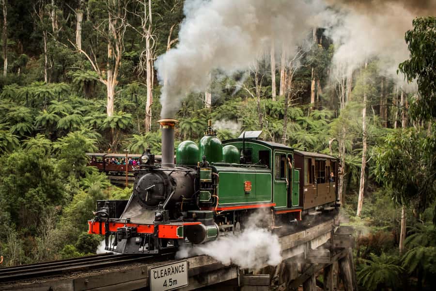 Melbourne: Puffing Billy Train & Penguin Parade Adventure - The optional Maru Koala and Animal Park stop