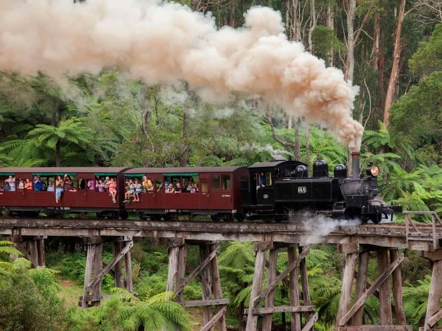 Melbourne: Puffing Billy Train Wildlife Zoo Private Tour - Puffing Billy makes the day worth planning around