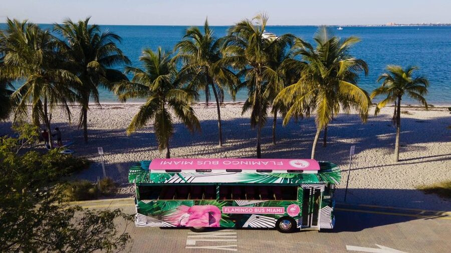 Miami Bus Tour Flamingo Open Air Trolley Bus Tours City Tour - Freedom Tower and the Downtown Return