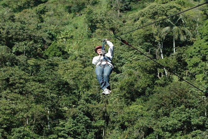MINDO CLOUD FOREST - Nature & Birds - Personalized Experience - The guide can make or break a long day