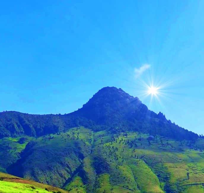 Mogle Mountain Hiking For Birding, Natures From Addis Ababa - Key points to know before you book