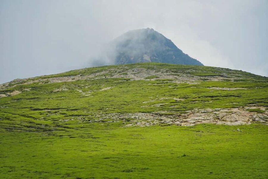 Mogle Mountain Hiking For Birding, Natures From Addis Ababa - The two-hour climb toward 3,100 meters