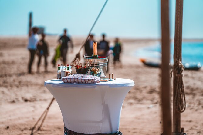 Mola Mola Marine Dolphin Cruise & Beach Braai on Pelican Point - Why this Walvis Bay cruise is different
