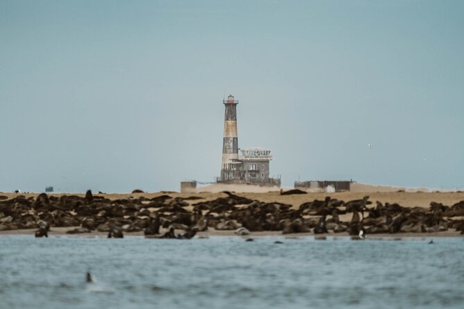 Mola Mola Marine Dolphin Cruise & Beach Braai on Pelican Point - Pelican Point and the beach braai