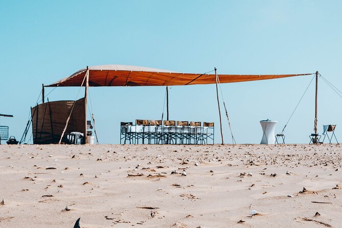 Mola Mola Marine Dolphin Cruise & Beach Braai on Pelican Point - Why the food and service affect the value
