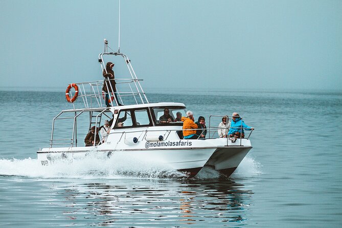 Mola Mola Marine Dolphin Cruise from the Walvis Bay Waterfront to Pelican Point - Who will enjoy this cruise most