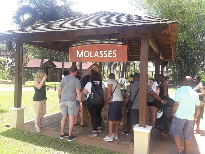 Montego Bay: 8-Hour Appleton & Pelican Bar Return Transfer - Appleton Estate: from sugar cane to aged rum