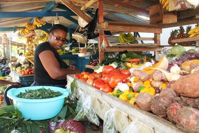 Montego Bay City Highlights & Bird Sanctuary & Shopping - DBoss Farm and Bird Sanctuary