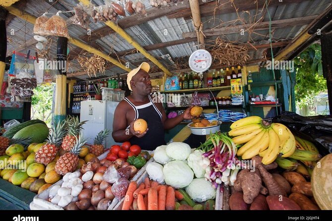Montego Bay City Highlights & Bird Sanctuary & Shopping - What the $140.85 price means