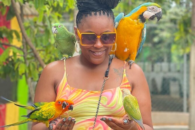 Montego Bay Exotic Herbs, Birds and Animals Interaction Tour - Jamaican crops turn the visit into a local lesson