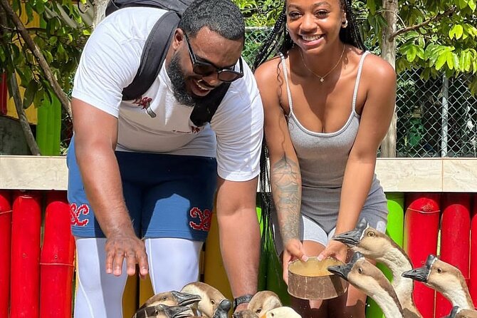 Montego Bay Exotic Herbs, Birds and Animals Interaction Tour - Rain can change the whole visit