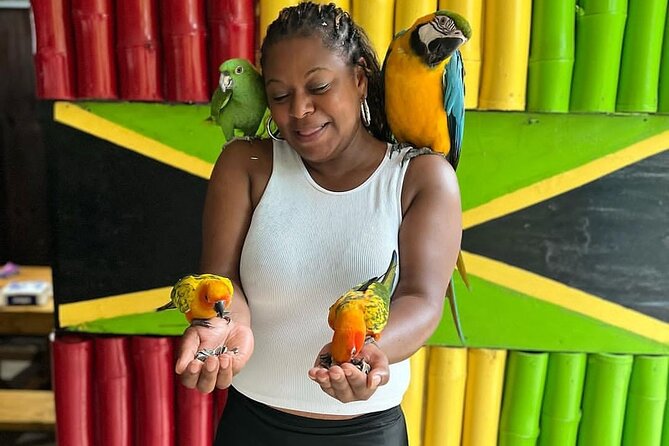 Montego Bay Exotic Herbs, Birds and Animals Interaction Tour - Who will enjoy this Montego Bay outing?