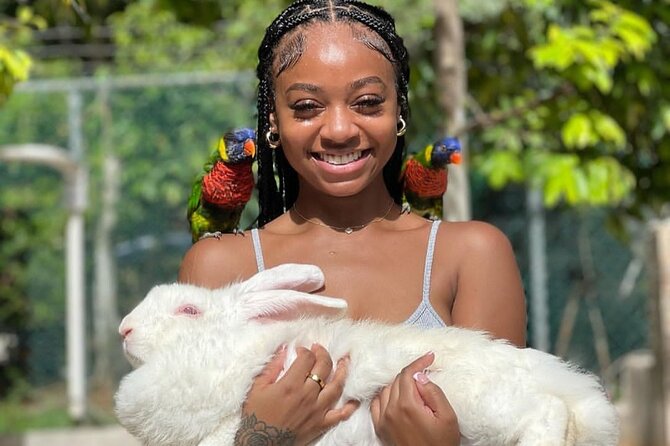 Montego Bay Exotic Herbs, Birds and Animals Interaction Tour - What to bring and how to plan the day