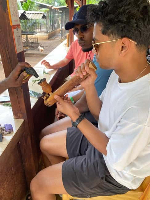 Montego Bay: Marijuana Farm and Bird Sanctuary Tour - Key points to know before you book