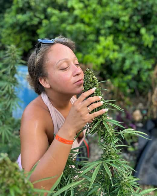 Montego Bay: Marijuana Farm and Bird Sanctuary Tour - Meeting the exotic birds