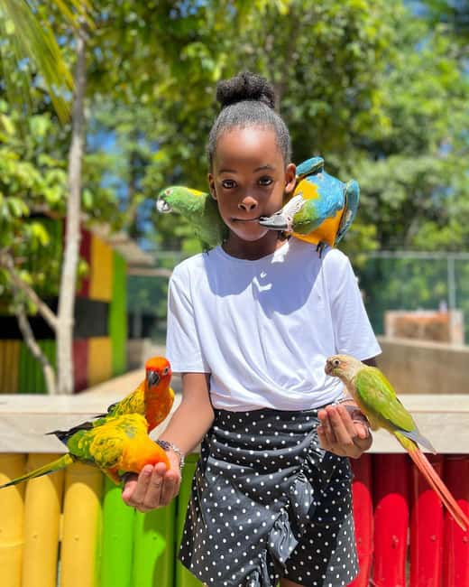Montego Bay: Marijuana Farm and Bird Sanctuary Tour - Food and refreshments on the way back