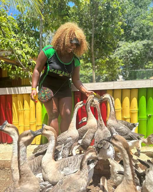 Montego Bay: Marijuana Farm and Bird Sanctuary Tour - Who should consider this outing?