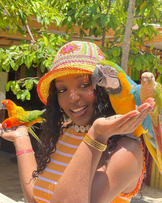 Montego Bay: Marijuana Farm and Bird Sanctuary Tour - Practical booking advice